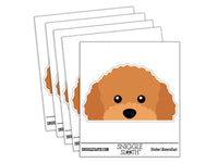 Peeking Red Toy Poodle Dog Waterproof Vinyl Phone Tablet Laptop Water Bottle Car Window Bumper Decal Sticker Set - 5 Pack