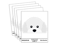 Peeking White Toy Poodle Dog Waterproof Vinyl Phone Tablet Laptop Water Bottle Car Window Bumper Decal Sticker Set - 5 Pack