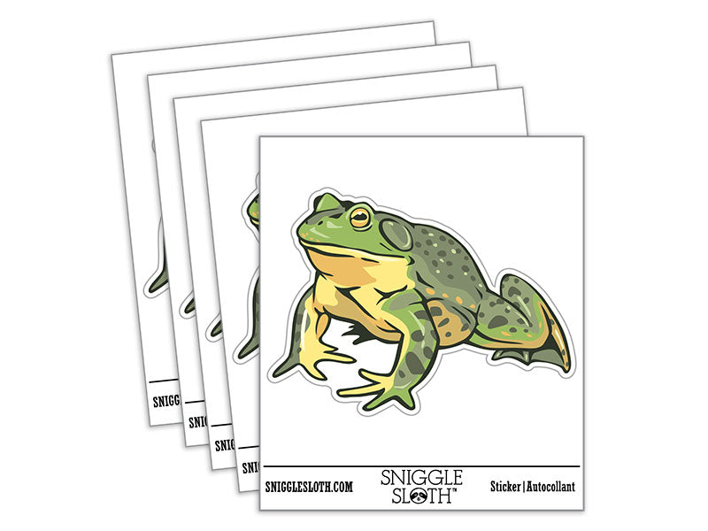 Realistic American Bullfrog Amphibian Frog Waterproof Vinyl Phone Tablet Laptop Water Bottle Car Window Bumper Decal Sticker Set - 5 Pack