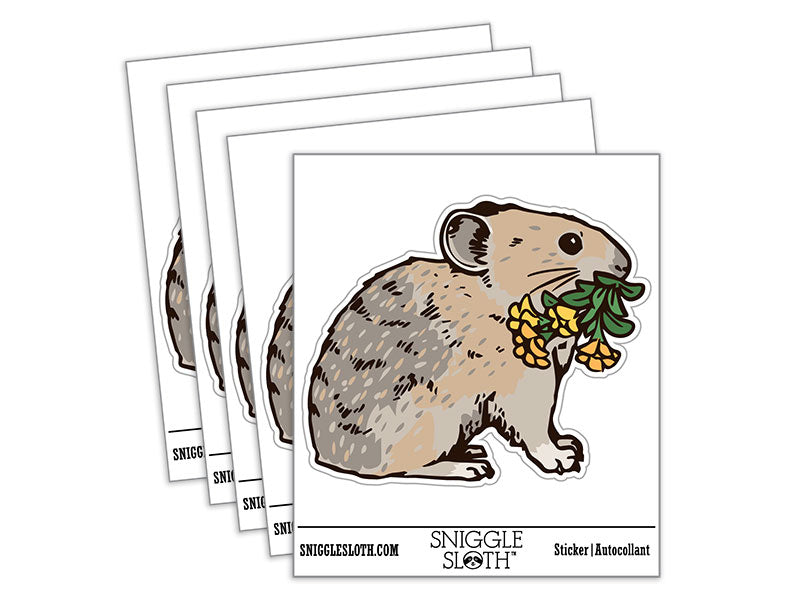 Realistic American Pika Gathering Flowers Waterproof Vinyl Phone Tablet Laptop Water Bottle Car Window Bumper Decal Sticker Set - 5 Pack