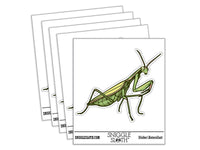 Realistic Praying Mantis Bug Insect Waterproof Vinyl Phone Tablet Laptop Water Bottle Car Window Bumper Decal Sticker Set - 5 Pack