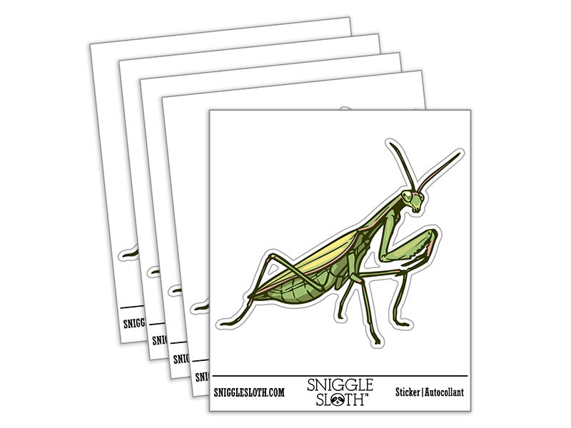 Realistic Praying Mantis Bug Insect Waterproof Vinyl Phone Tablet Laptop Water Bottle Car Window Bumper Decal Sticker Set - 5 Pack