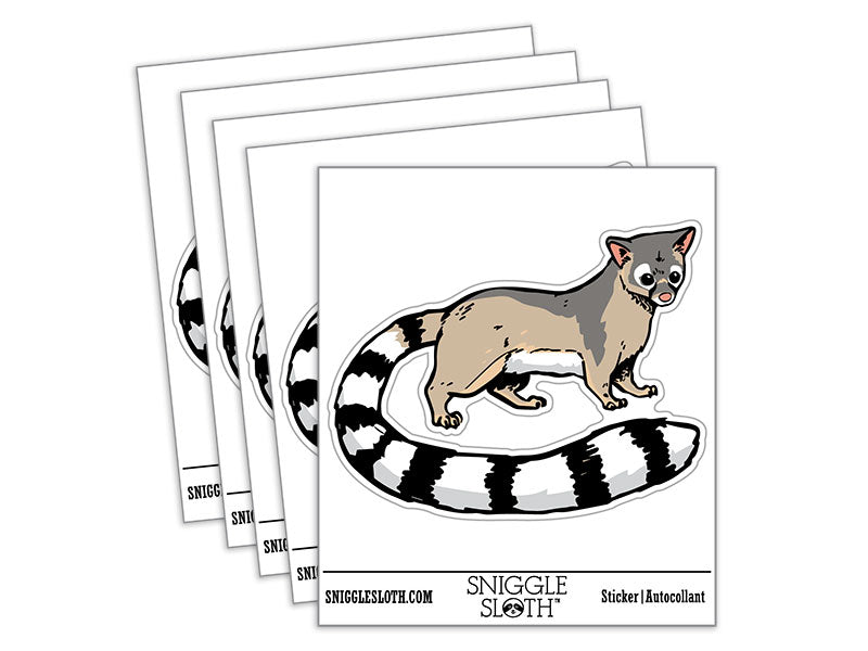 Realistic Ringtail Miner's Cat Mammal Waterproof Vinyl Phone Tablet Laptop Water Bottle Car Window Bumper Decal Sticker Set - 5 Pack