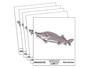 Realistic Sturgeon Large Fish Caviar Waterproof Vinyl Phone Tablet Laptop Water Bottle Car Window Bumper Decal Sticker Set - 5 Pack