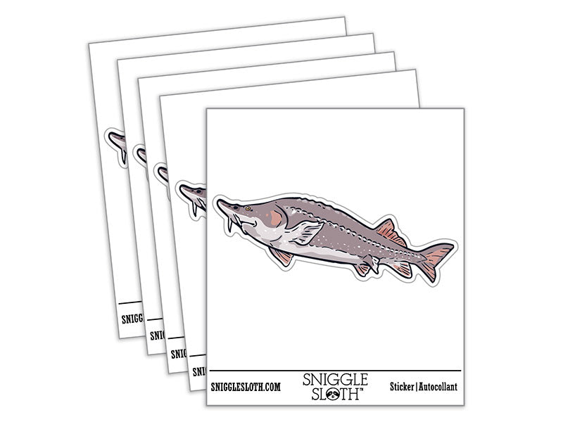 Realistic Sturgeon Large Fish Caviar Waterproof Vinyl Phone Tablet Laptop Water Bottle Car Window Bumper Decal Sticker Set - 5 Pack