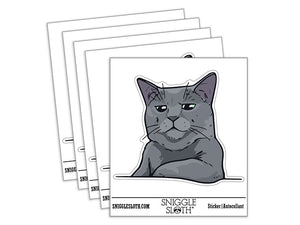Russian Blue Cat Condescending Unimpressed Look Waterproof Vinyl Phone Tablet Laptop Water Bottle Car Window Bumper Decal Sticker Set - 5 Pack
