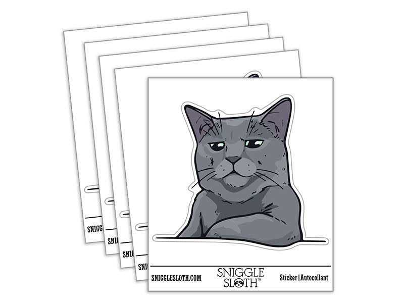 Russian Blue Cat Condescending Unimpressed Look Waterproof Vinyl Phone Tablet Laptop Water Bottle Car Window Bumper Decal Sticker Set - 5 Pack