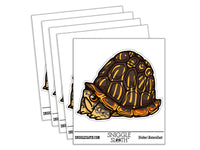 Shy Hiding Western Box Turtle Cartoon Waterproof Vinyl Phone Tablet Laptop Water Bottle Car Window Bumper Decal Sticker Set - 5 Pack
