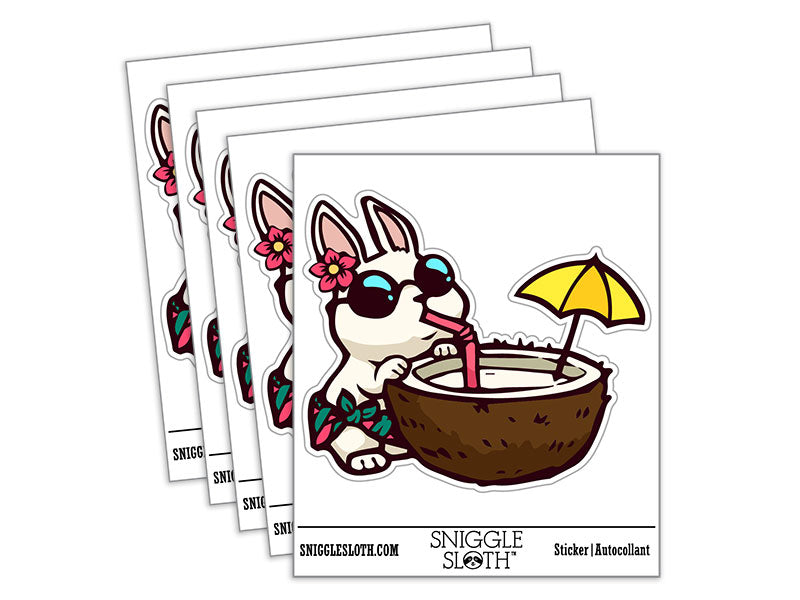 Vacation Bunny Rabbit Drinking Coconut Waterproof Vinyl Phone Tablet Laptop Water Bottle Car Window Bumper Decal Sticker Set - 5 Pack