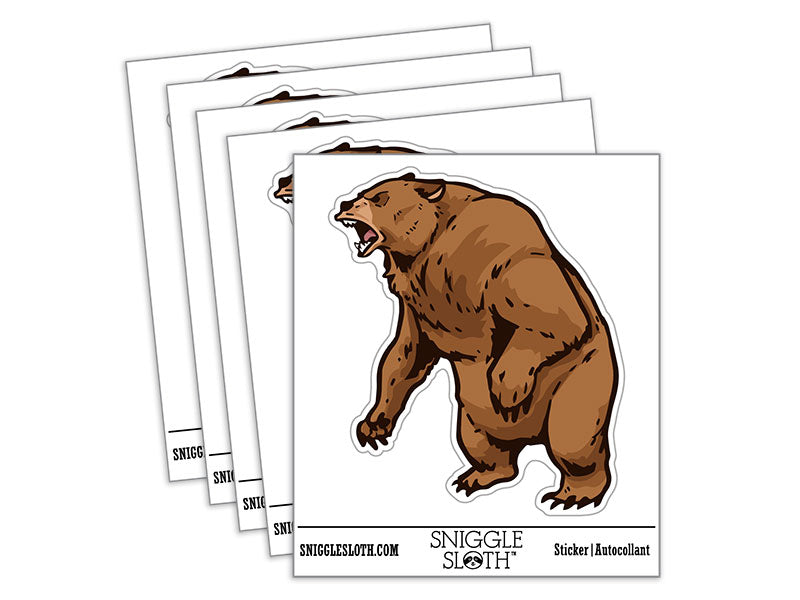 Angry Grizzly Bear Standing and Roaring