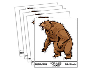 Angry Grizzly Bear Standing and Roaring