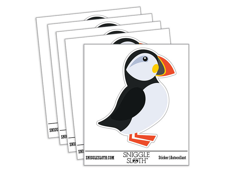 Atlantic Puffin Bird