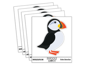 Atlantic Puffin Bird