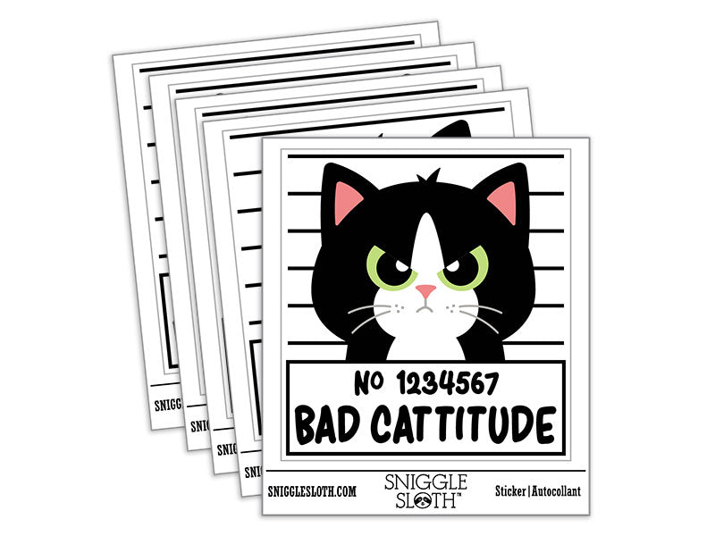 Bad Catitude Cat