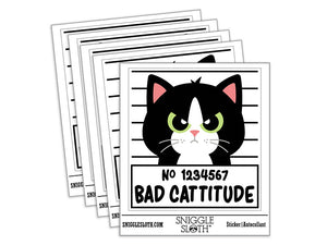 Bad Catitude Cat