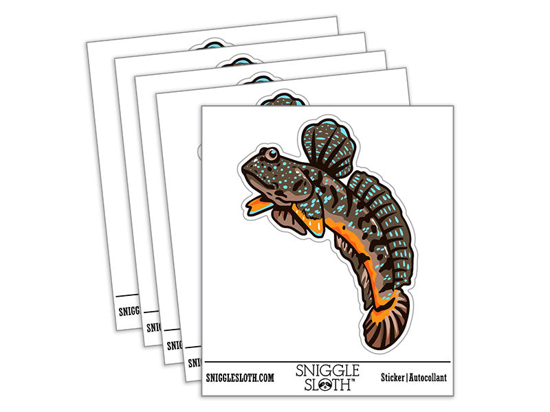 Blue Spotted Mudskipper Leaping Fish