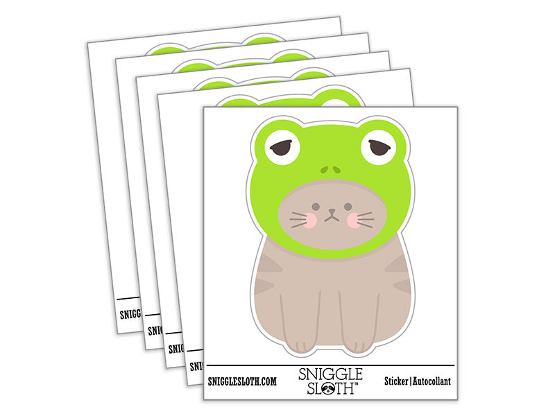 Cat in Frog Hat
