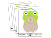 Cat in Frog Hat