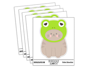 Cat in Frog Hat