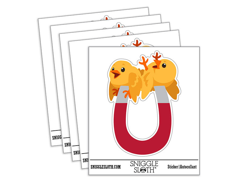 Chick Magnet Funny Joke Chickens