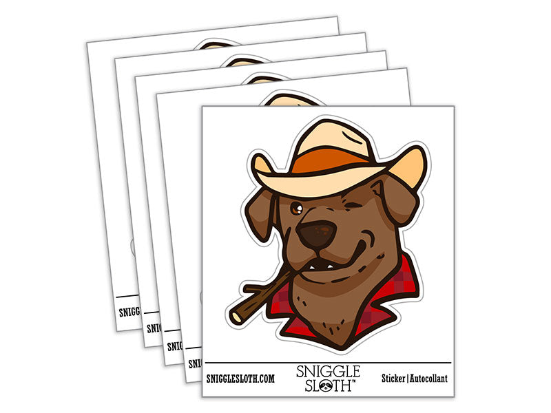 Cowboy Hat Chocolate Labrador Retriever Dog