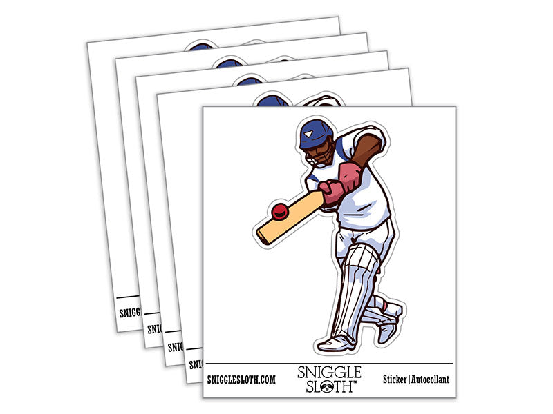 Cricket Player Sport Bat Ball