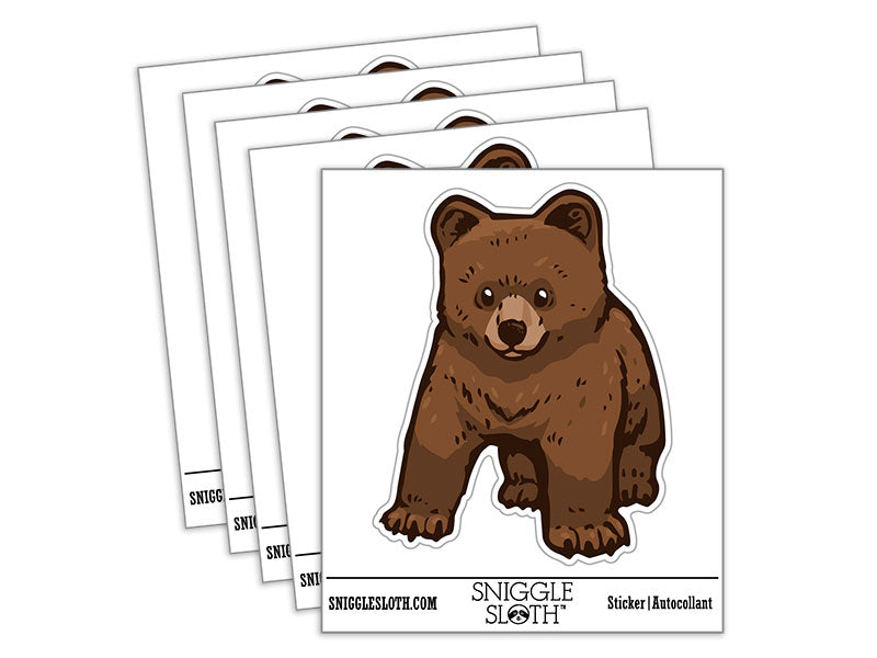 Curious Baby Brown Bear Grizzly Cub