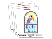 Early Bird Morning Person Window