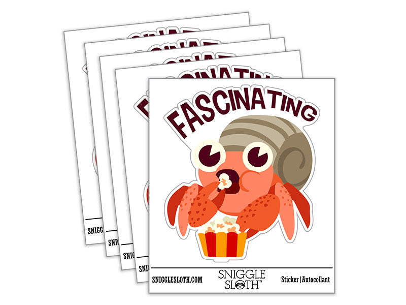 Fascinating Shocked Amazed Hermit Crab With Popcorn
