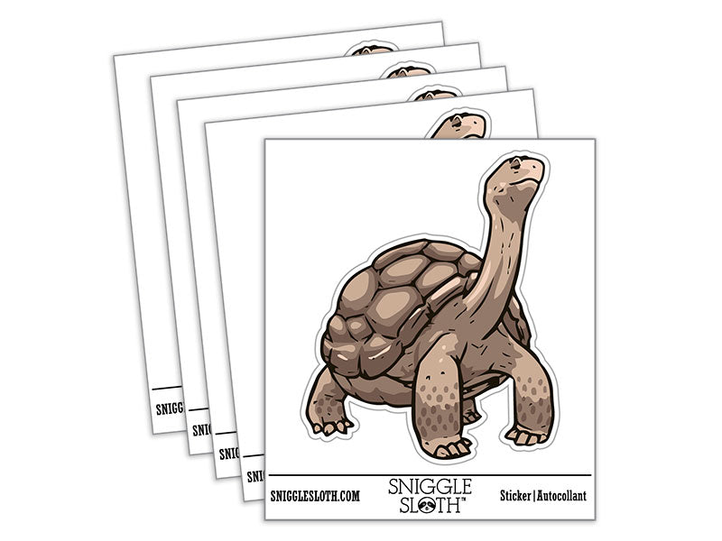 Giant Galapagos Aldabra Tortoise Reptile Turtle