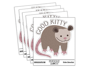 Good Kitty Possum Opossum