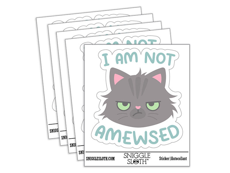 I Am Not Amused Amewsed Cat