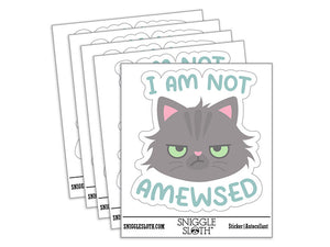 I Am Not Amused Amewsed Cat