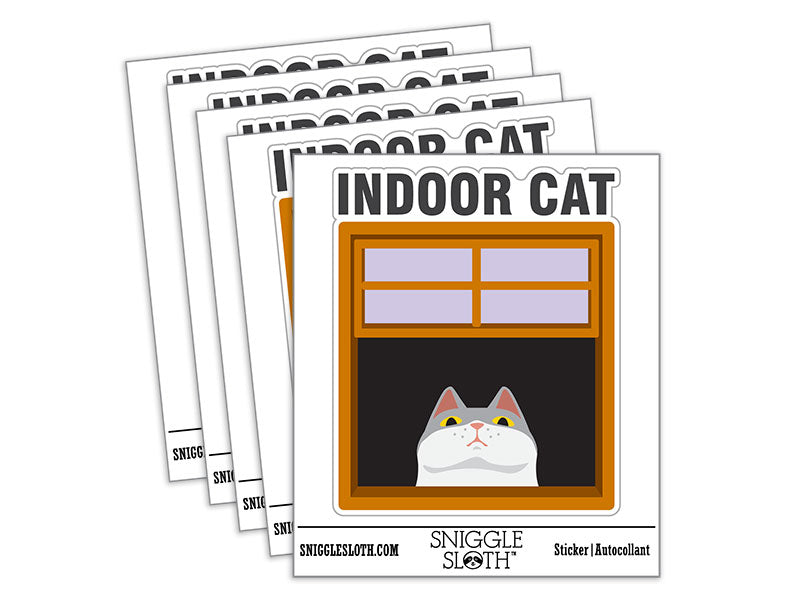 Indoor Cat in Window