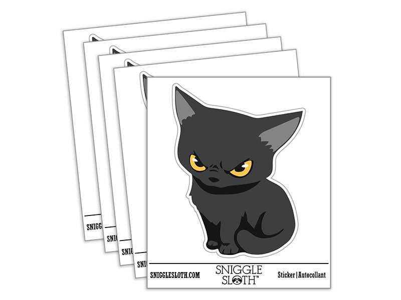 Mischevious Devious Angry Kitten Cat