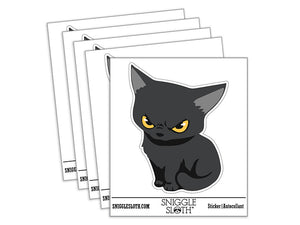 Mischevious Devious Angry Kitten Cat