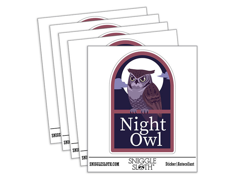 Night Owl Nocturnal Person Bird Window