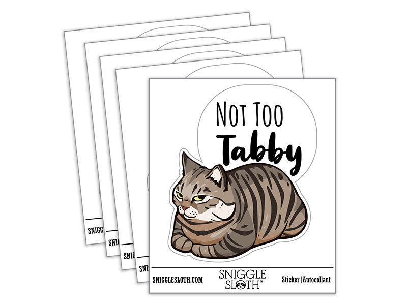 Not Too Shabby Tabby Cat