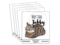 Not Too Shabby Tabby Cat