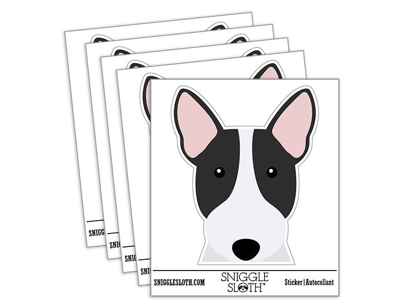 Peeking Bull Terrier Dog