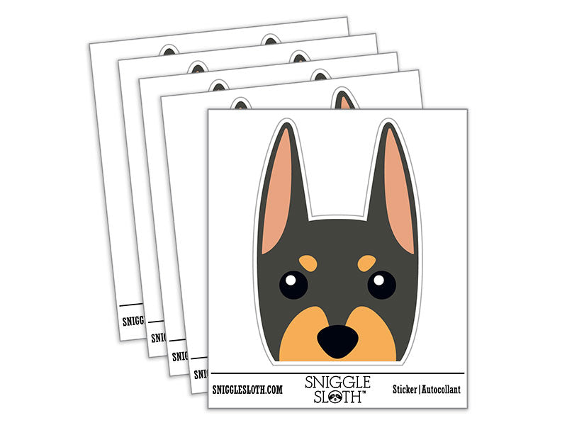 Peeking Doberman Dog