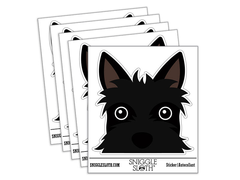 Peeking Scottish Terrier Dog