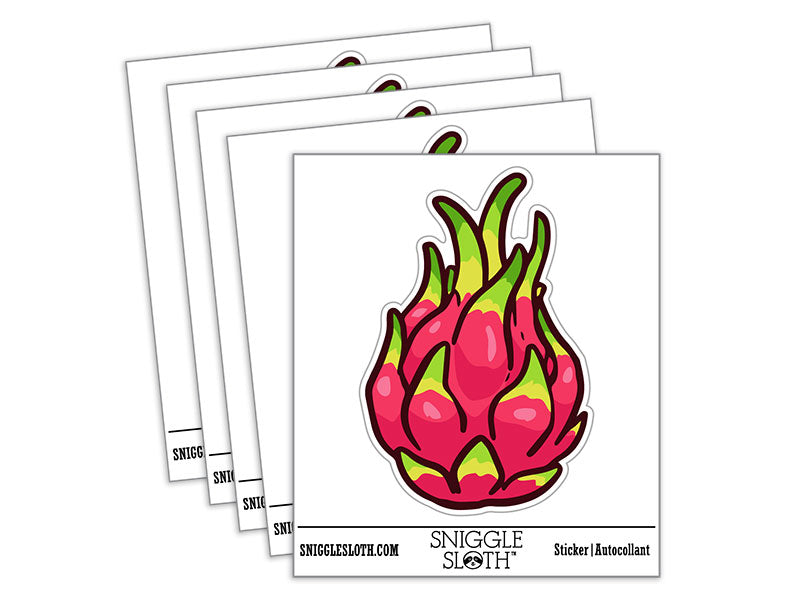 Pitaya Dragon Fruit Cactus