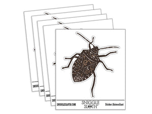 Realistic Brown Marmorated Stink Bug