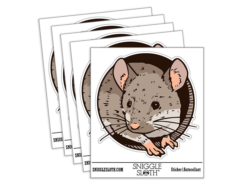 Realistic House Mouse Peeking Through Hole Rodent