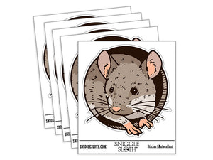 Realistic House Mouse Peeking Through Hole Rodent