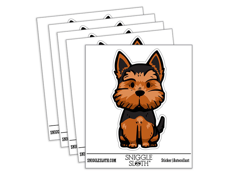 Scruffy Yorkshire Terrier Pet Dog
