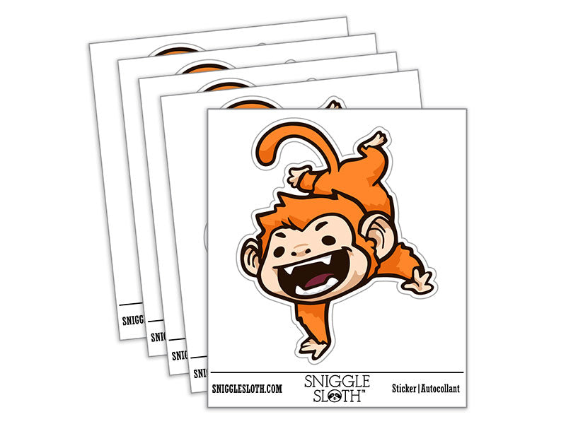 Silly Monkey Doing Handstand