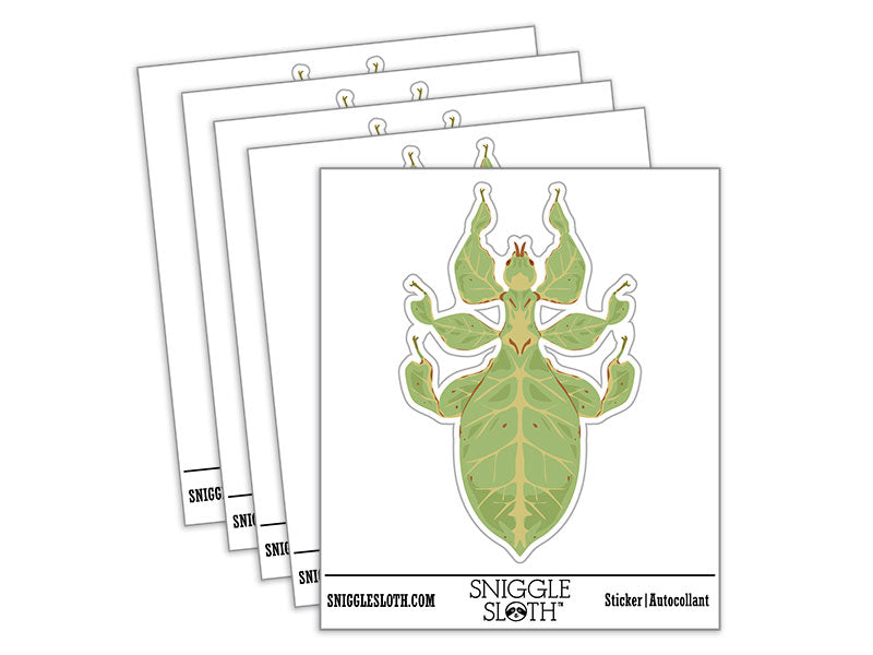 Walking Leaf Insect Bug