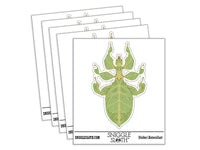 Walking Leaf Insect Bug